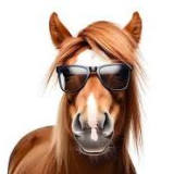 Horse_In_a_Council_Flat
