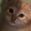 Des1