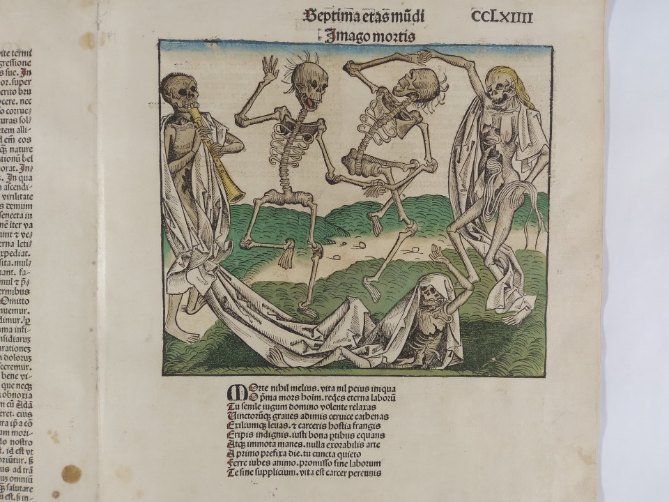 "Imago Mortis" from the incunabulum Nuremberg Chronicle, published in 1493. All engravings were hand-coloured by monks 