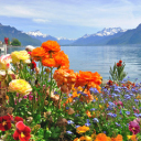 Spring in Switzerland