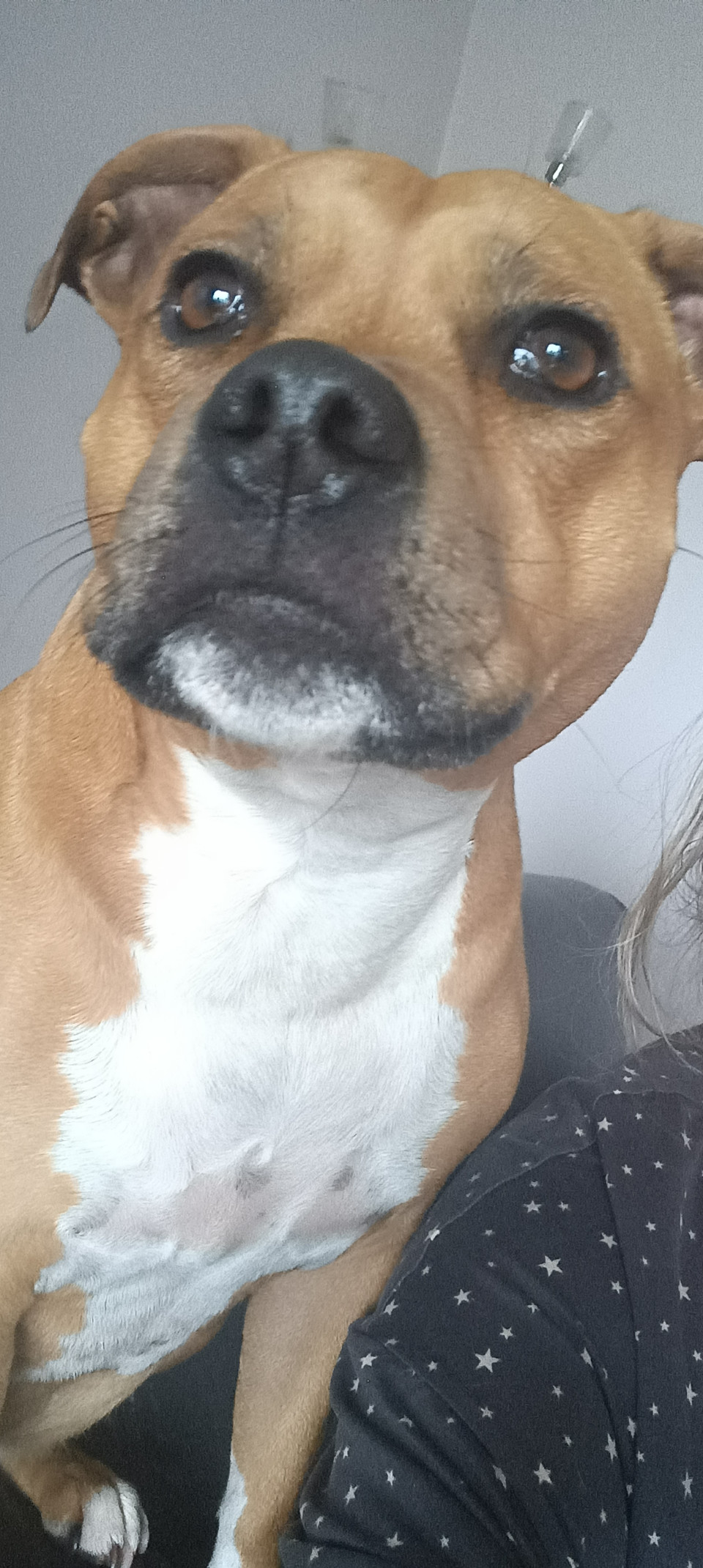 my monster Bailey